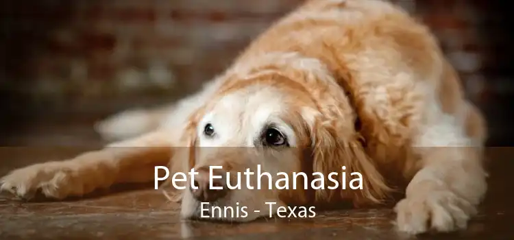 Pet Euthanasia Ennis - Texas