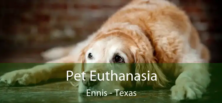 Pet Euthanasia Ennis - Texas