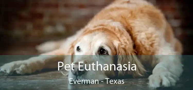 Pet Euthanasia Everman - Texas