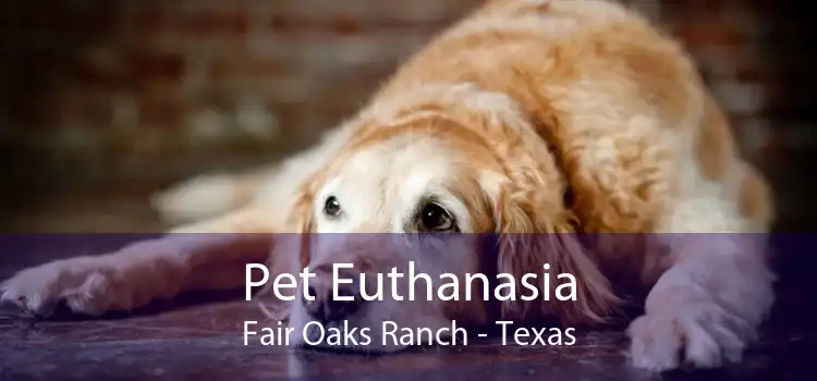Pet Euthanasia Fair Oaks Ranch - Texas