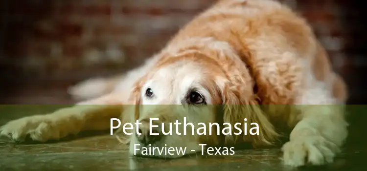 Pet Euthanasia Fairview - Texas