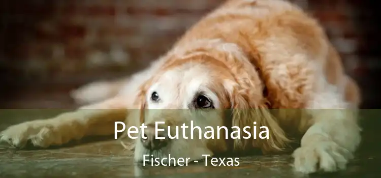 Pet Euthanasia Fischer - Texas