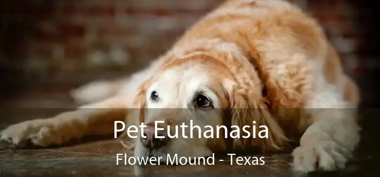 Pet Euthanasia Flower Mound - Texas