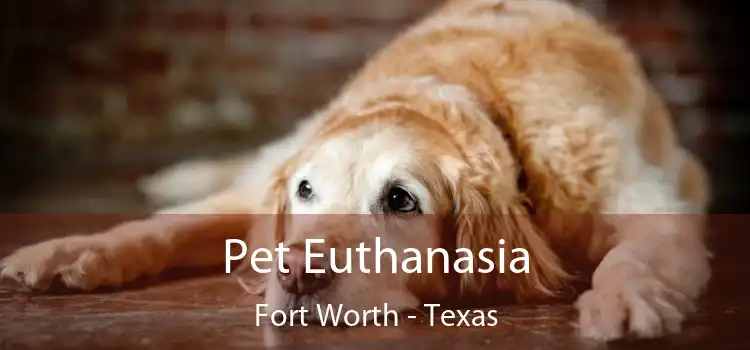 Pet Euthanasia Fort Worth - Texas