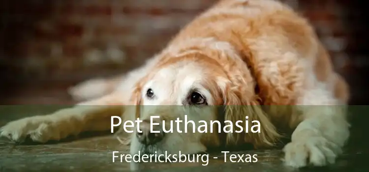 Pet Euthanasia Fredericksburg - Texas