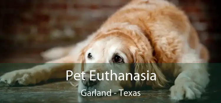 Pet Euthanasia Garland - Texas