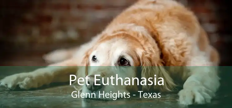 Pet Euthanasia Glenn Heights - Texas