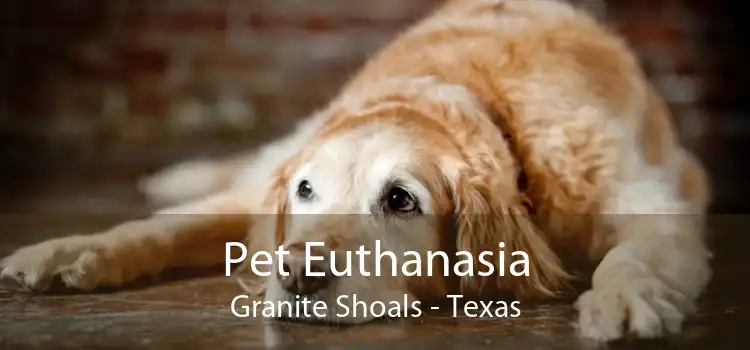 Pet Euthanasia Granite Shoals - Texas