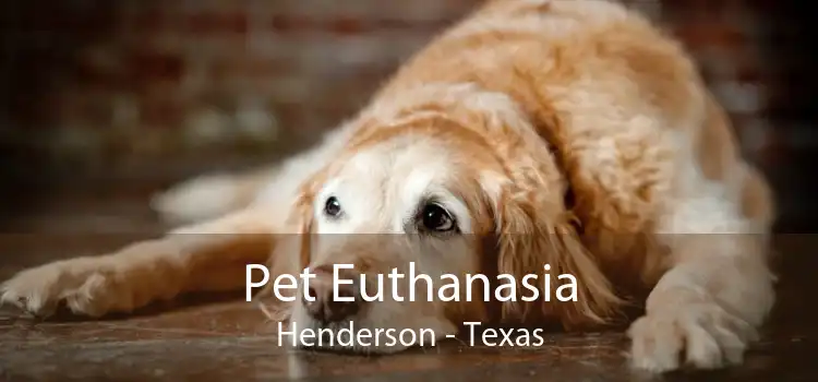 Pet Euthanasia Henderson - Texas