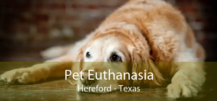 Pet Euthanasia Hereford - Texas