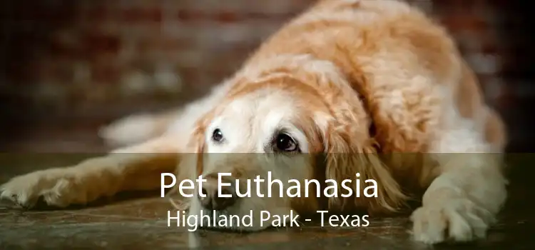 Pet Euthanasia Highland Park - Texas