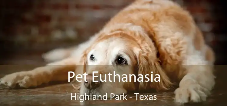 Pet Euthanasia Highland Park - Texas