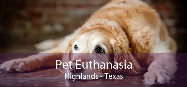 Pet Euthanasia Highlands - Texas