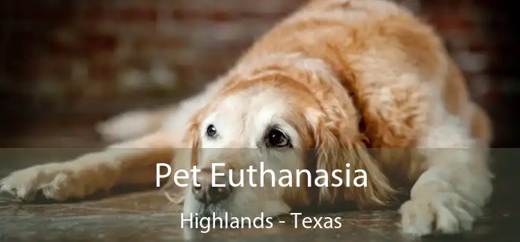 Pet Euthanasia Highlands - Texas