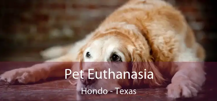 Pet Euthanasia Hondo - Texas