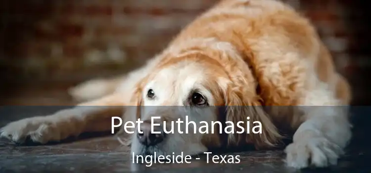 Pet Euthanasia Ingleside - Texas