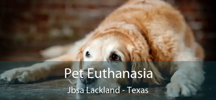 Pet Euthanasia Jbsa Lackland - Texas