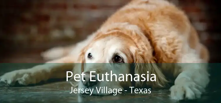 Pet Euthanasia Jersey Village - Texas