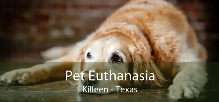 Pet Euthanasia Killeen - Texas