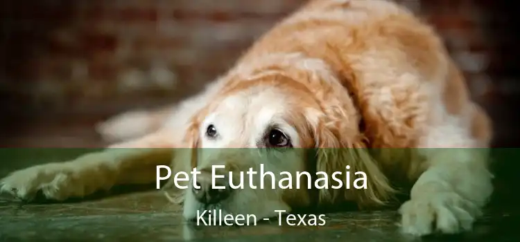 Pet Euthanasia Killeen - Texas