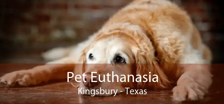 Pet Euthanasia Kingsbury - Texas