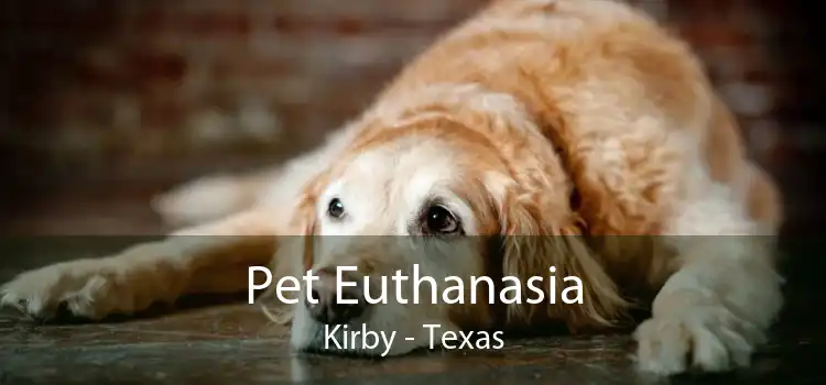 Pet Euthanasia Kirby - Texas