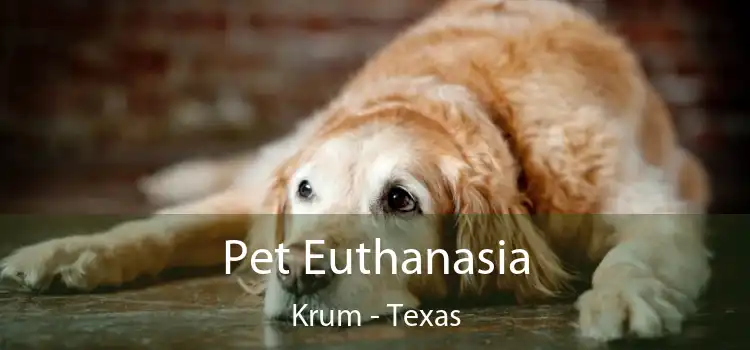 Pet Euthanasia Krum - Texas