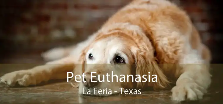 Pet Euthanasia La Feria - Texas