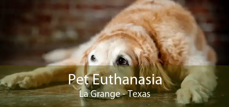 Pet Euthanasia La Grange - Texas