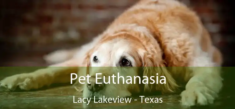 Pet Euthanasia Lacy Lakeview - Texas