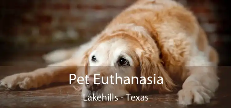 Pet Euthanasia Lakehills - Texas