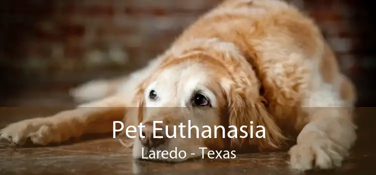 Pet Euthanasia Laredo - Texas