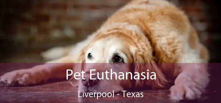 Pet Euthanasia Liverpool - Texas