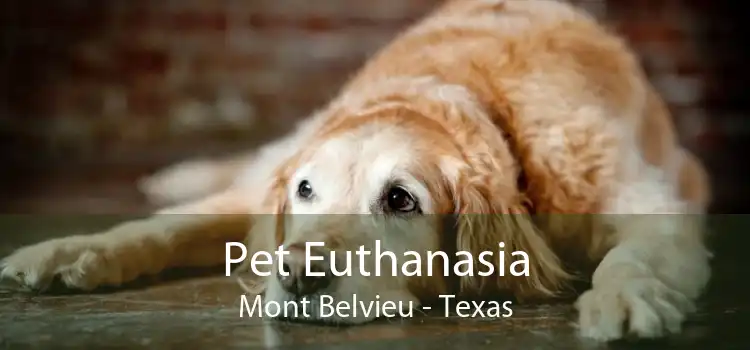 Pet Euthanasia Mont Belvieu - Texas