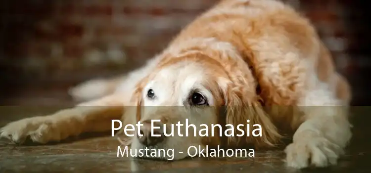 Pet Euthanasia Mustang - Oklahoma