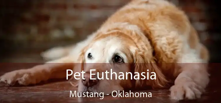 Pet Euthanasia Mustang - Oklahoma