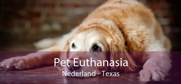 Pet Euthanasia Nederland - Texas