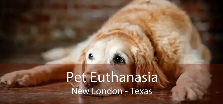 Pet Euthanasia New London - Texas