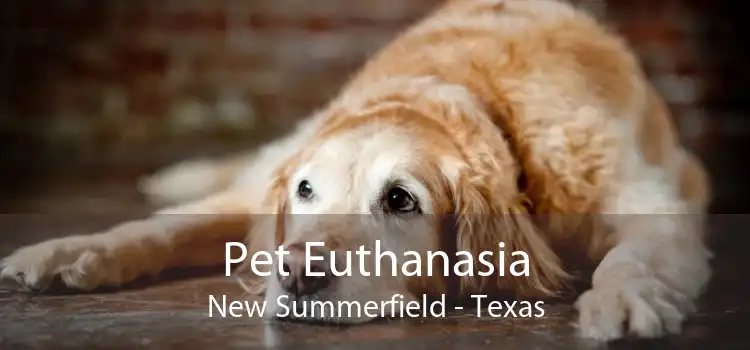 Pet Euthanasia New Summerfield - Texas