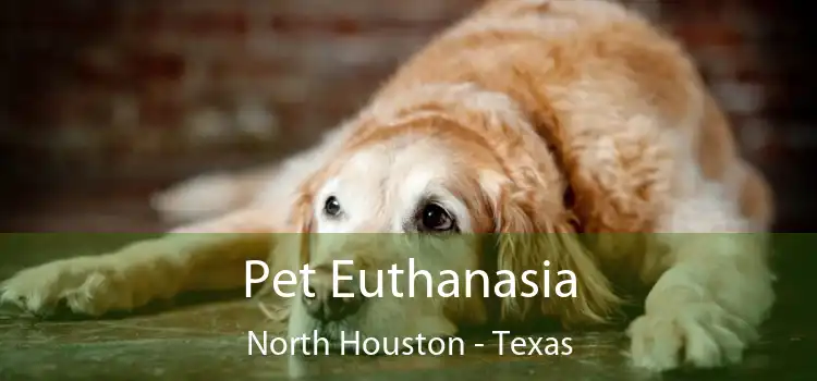 Pet Euthanasia North Houston - Texas