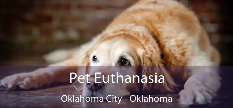 Pet Euthanasia Oklahoma City - Oklahoma