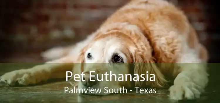 Pet Euthanasia Palmview South - Texas