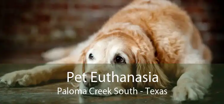 Pet Euthanasia Paloma Creek South - Texas