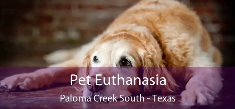 Pet Euthanasia Paloma Creek South - Texas