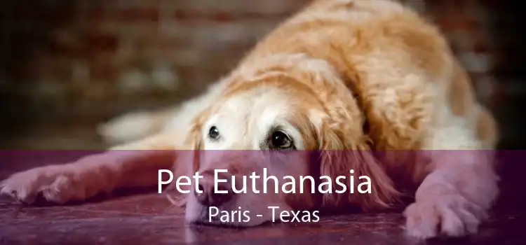 Pet Euthanasia Paris - Texas
