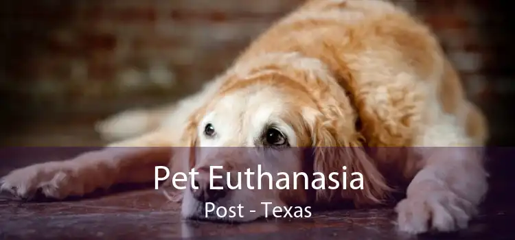 Pet Euthanasia Post - Texas