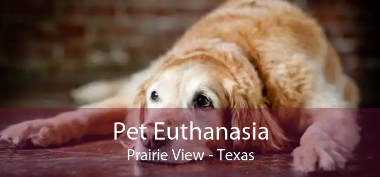 Pet Euthanasia Prairie View - Texas