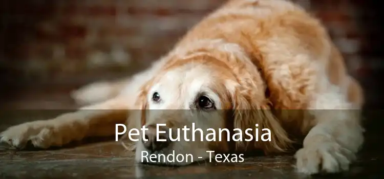 Pet Euthanasia Rendon - Texas