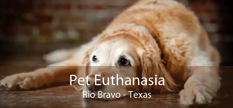 Pet Euthanasia Rio Bravo - Texas
