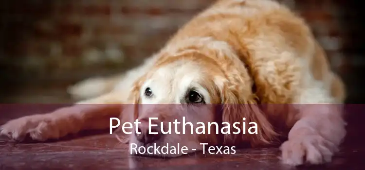 Pet Euthanasia Rockdale - Texas